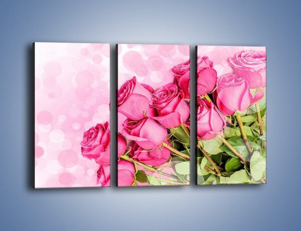 Obraz na płótnie – Słodkie bąbelkowe róże – trzyczęściowy K261W2
