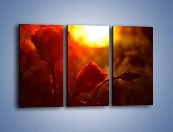 Obraz na płótnie – Słońce czy róża – trzyczęściowy K264W2