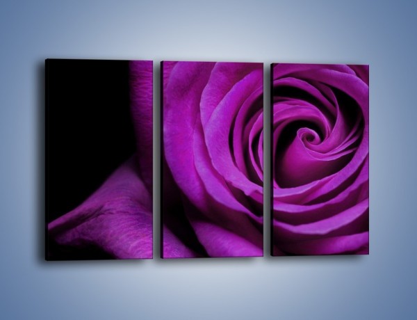 Obraz na płótnie – Tajemniczy różany fiolet – trzyczęściowy K313W2
