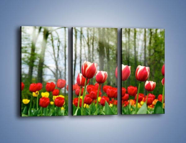 Obraz na płótnie – Leśna polana pełna tulipanów – trzyczęściowy K319W2