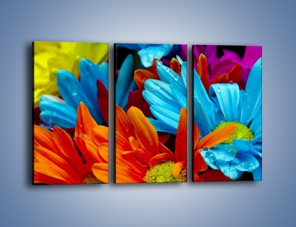 Obraz na płótnie – Kolorowo i kwiatowo – trzyczęściowy K375W2