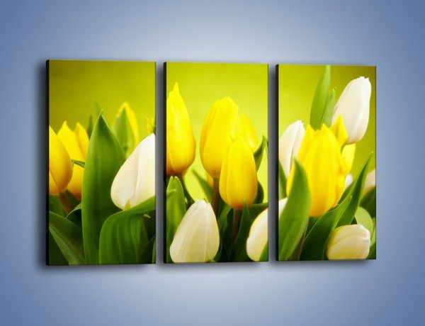 Obraz na płótnie – Nie tylko tulipany – trzyczęściowy K425W2