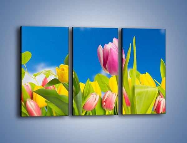 Obraz na płótnie – Kolorowe tulipany w bajkowej oprawie – trzyczęściowy K431W2