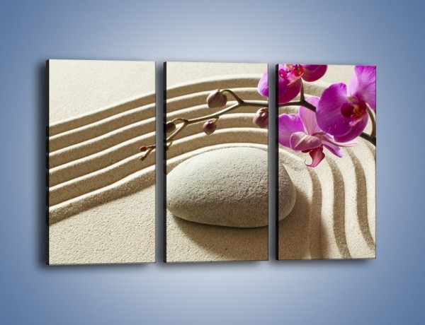 Obraz na płótnie – Kwiat w piasku – trzyczęściowy K433W2