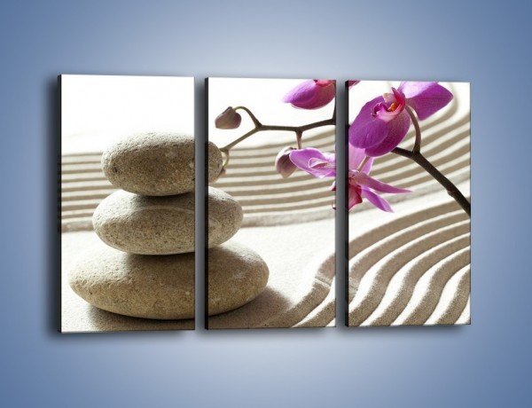 Obraz na płótnie – Kamień piasek i kwiat – trzyczęściowy K435W2