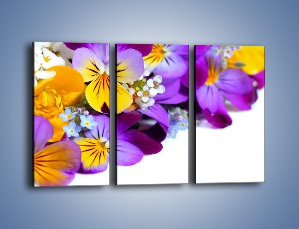 Obraz na płótnie – Ciepłe kolory w kwiatach – trzyczęściowy K442W2