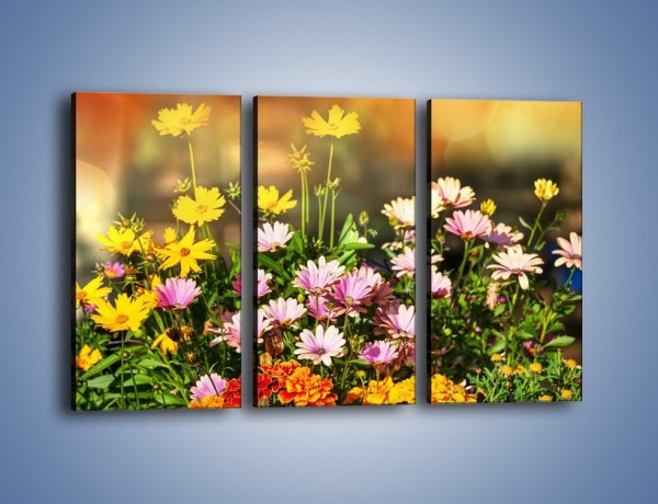 Obraz na płótnie – Polne kwiaty z uśmiechem – trzyczęściowy K456W2