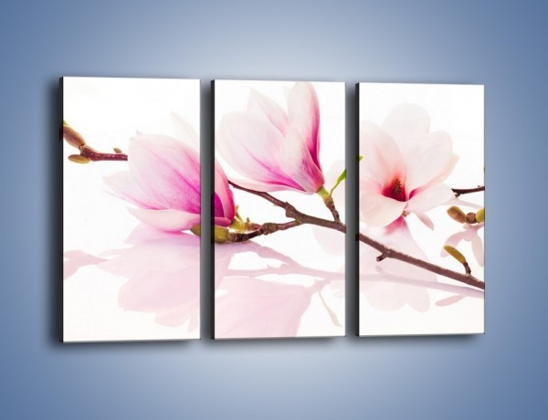 Obraz na płótnie – Lekkość w kwiatach wiśni – trzyczęściowy K485W2