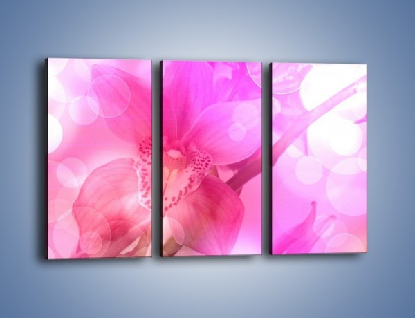 Obraz na płótnie – Budzący dzień w różowym kwiecie – trzyczęściowy K487W2