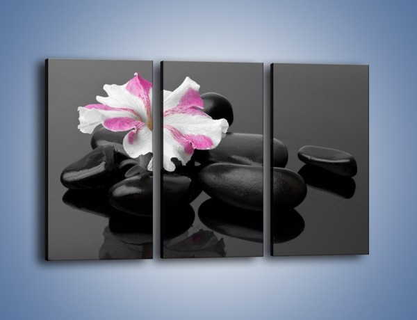 Obraz na płótnie – Czarna tafla z kwiatem – trzyczęściowy K520W2