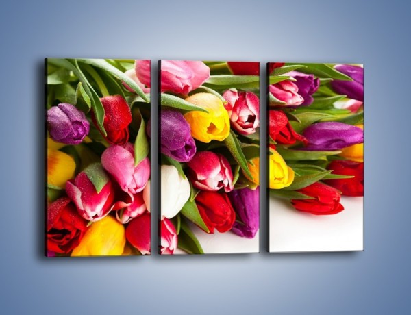 Obraz na płótnie – Spokój i luz zachowany w tulipanach – trzyczęściowy K538W2