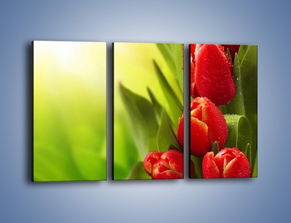 Obraz na płótnie – Liście tulipanów – trzyczęściowy K546W2