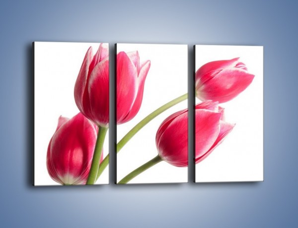 Obraz na płótnie – Pięć razy tulipany – trzyczęściowy K551W2