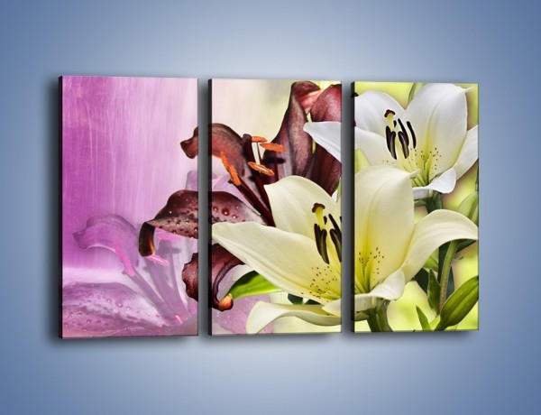 Obraz na płótnie – Podwójna twarz lilii – trzyczęściowy K584W2