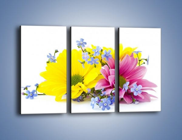 Obraz na płótnie – Niezapominajki wśród kwiatów – trzyczęściowy K604W2