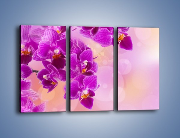 Obraz na płótnie – Spadające fioletowe kwiaty – trzyczęściowy K614W2
