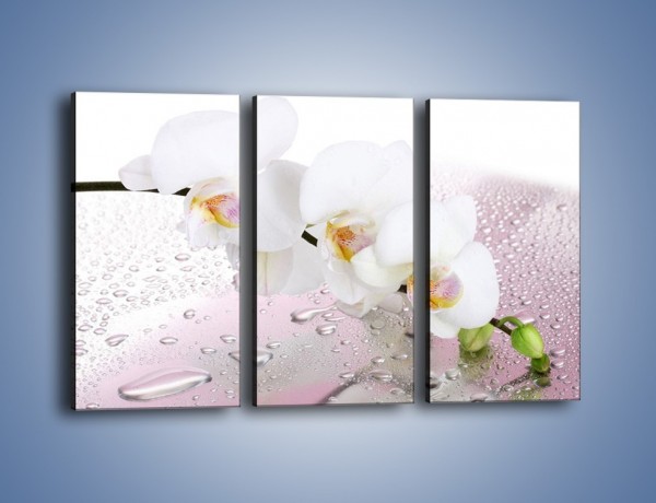 Obraz na płótnie – Czysta biel kwiata po deszczu – trzyczęściowy K618W2