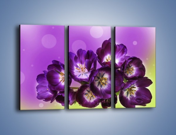 Obraz na płótnie – Fioletowe kwiaty w powietrzu – trzyczęściowy K630W2