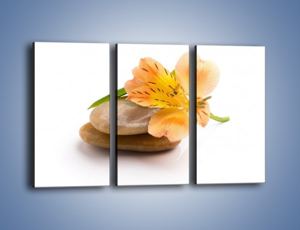 Obraz na płótnie – Kwiat jak mango – trzyczęściowy K631W2