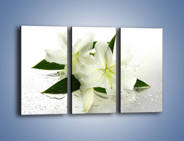 Obraz na płótnie – Niewinność białej lilii – trzyczęściowy K632W2