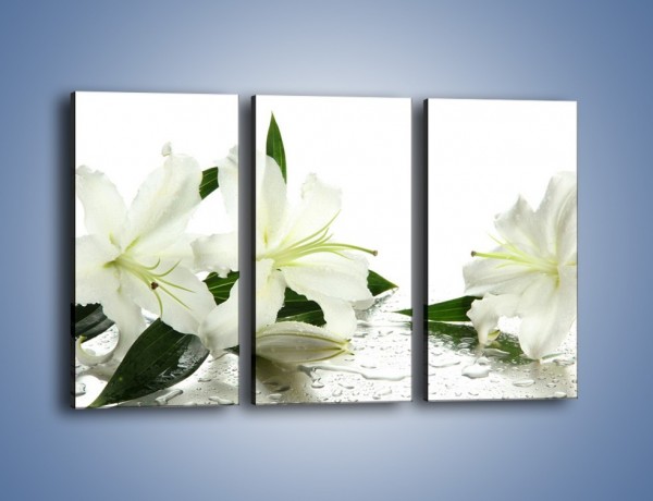 Obraz na płótnie – Czysta biel kwiatów – trzyczęściowy K633W2