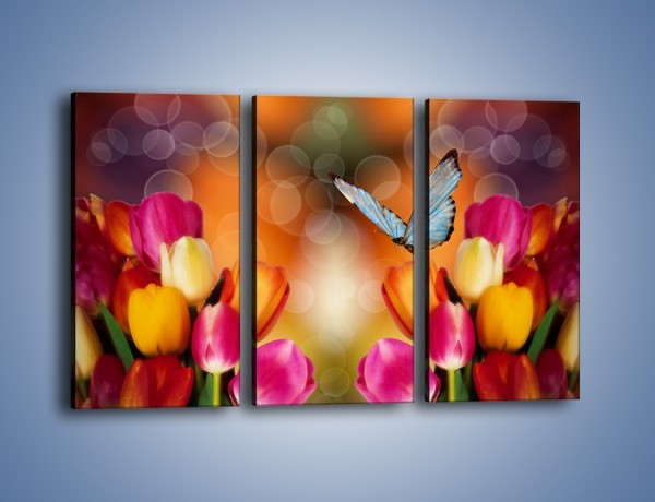 Obraz na płótnie – Motyl wśród tulipanów – trzyczęściowy K635W2