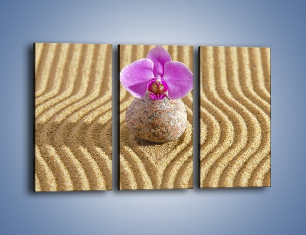Obraz na płótnie – Struktura piasku z kwiatem – trzyczęściowy K637W2