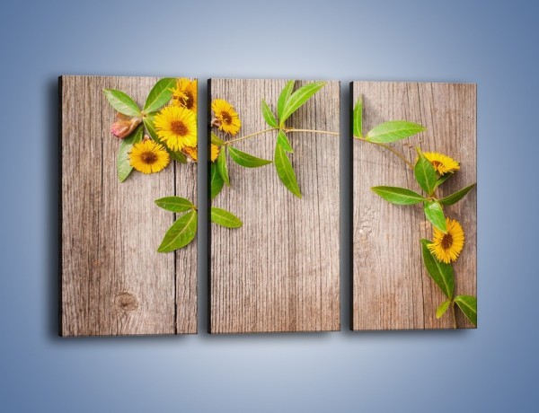 Obraz na płótnie – Słoneczne kwiatuszki na deskach – trzyczęściowy K645W2