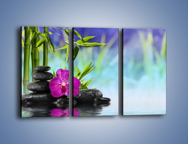 Obraz na płótnie – Wodny pejzaż z kwiatem – trzyczęściowy K646W2