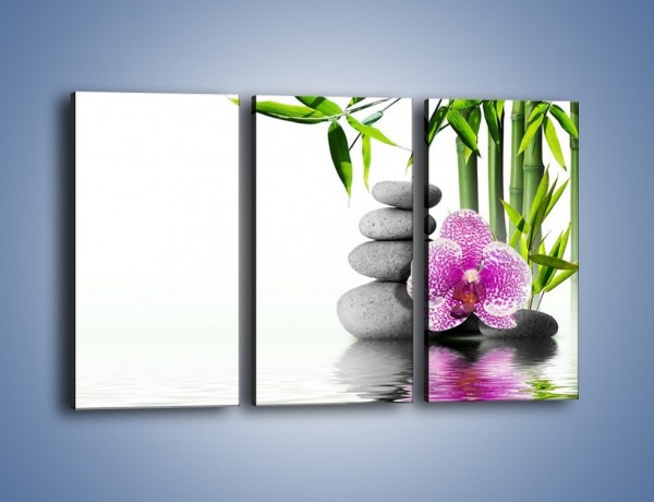 Obraz na płótnie – Woda fale i kwiat – trzyczęściowy K652W2