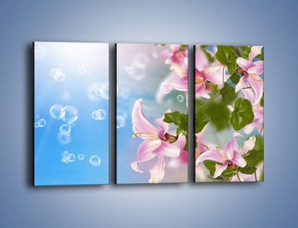 Obraz na płótnie – Mydlane bańki nad kwiatami – trzyczęściowy K669W2