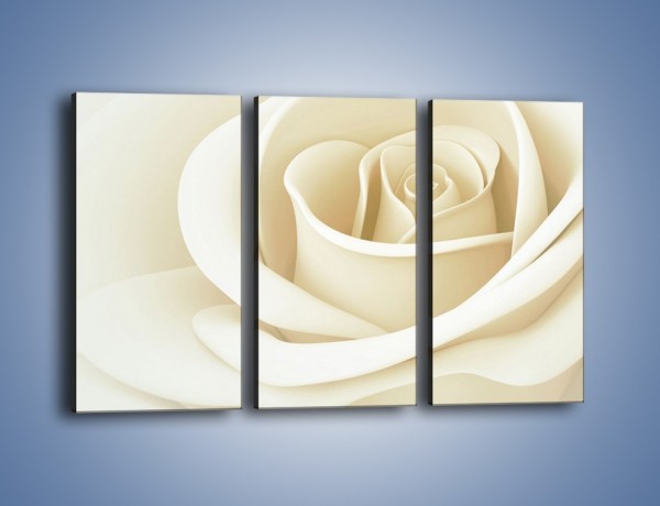 Obraz na płótnie – Róża niczym delikatny krem – trzyczęściowy K708W2
