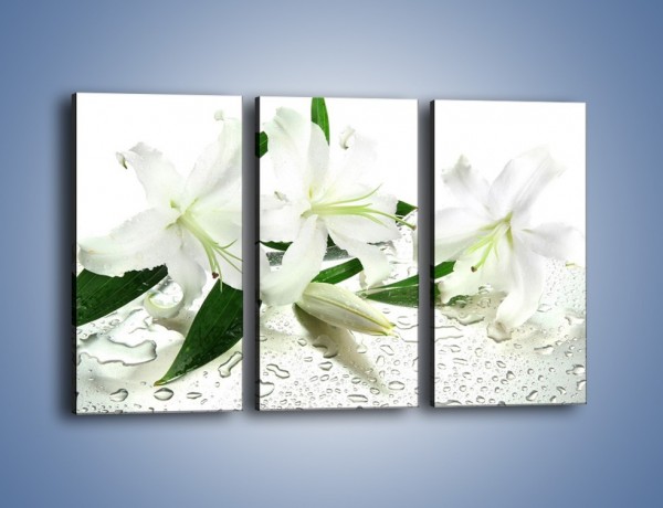 Obraz na płótnie – Życie lilii po deszczu – trzyczęściowy K729W2