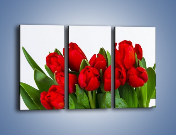Obraz na płótnie – Tulipany na dzień kobiet – trzyczęściowy K740W2
