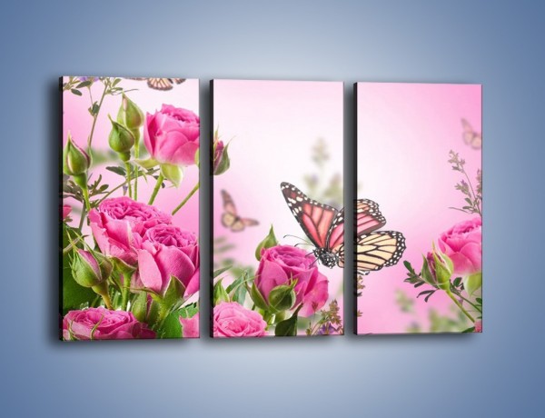 Obraz na płótnie – Motyle różowe jak kwiaty – trzyczęściowy K741W2
