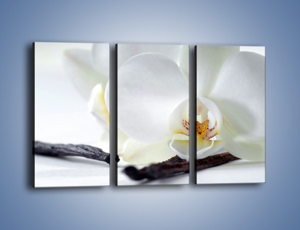 Obraz na płótnie – Laski wanilii i kwiat – trzyczęściowy K750W2