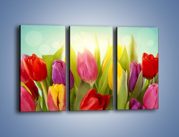 Obraz na płótnie – Tulipany w pierwszym rzędzie – trzyczęściowy K760W2