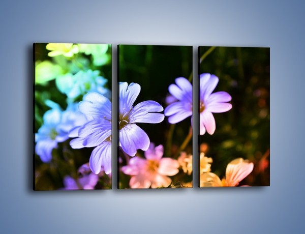 Obraz na płótnie – Niebieskie główki kwiatuszków – trzyczęściowy K769W2