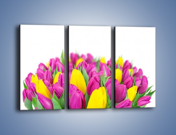 Obraz na płótnie – Bukiet fioletowo-żółtych tulipanów – trzyczęściowy K778W2