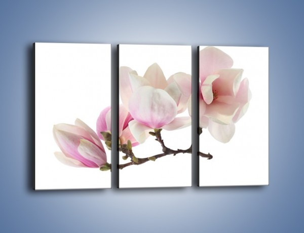 Obraz na płótnie – Obcięte gałązki białych różowych kwiatów – trzyczęściowy K783W2