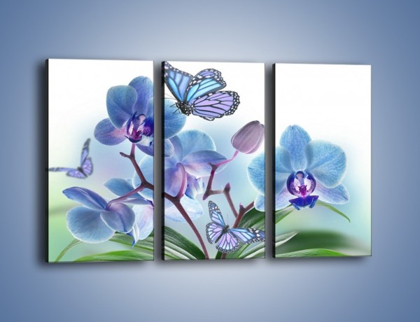 Obraz na płótnie – Niebieskie motyle jak niebieskie kwiaty – trzyczęściowy K784W2