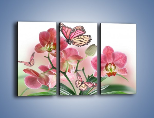 Obraz na płótnie – Różowy motyl czy kwiat – trzyczęściowy K786W2