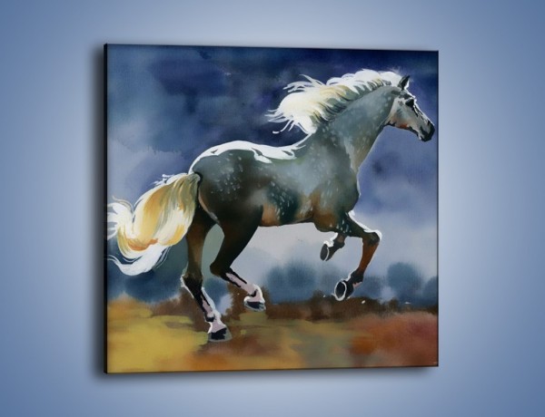 Obraz na płótnie – Bieg z koniem przez noc – jednoczęściowy kwadratowy GR339