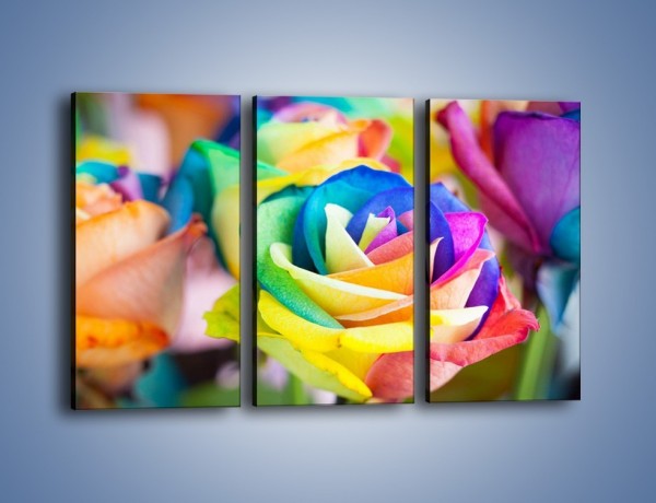 Obraz na płótnie – Róże z każdej strony – trzyczęściowy K798W2
