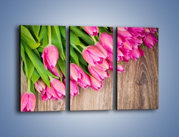 Obraz na płótnie – Do góry nogami z tulipanami – trzyczęściowy K807W2