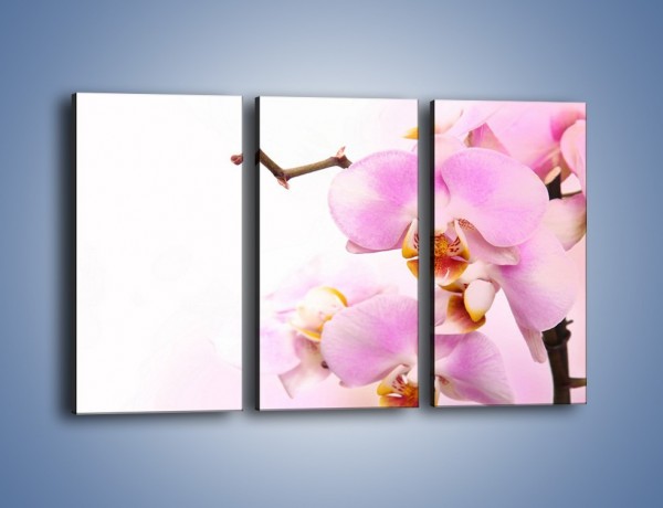 Obraz na płótnie – Delikatny motyw z kwiatami – trzyczęściowy K815W2