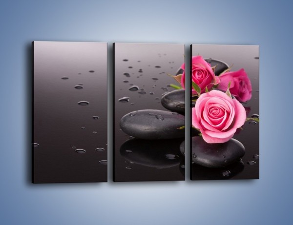 Obraz na płótnie – Róże na mokrych kamieniach – trzyczęściowy K822W2