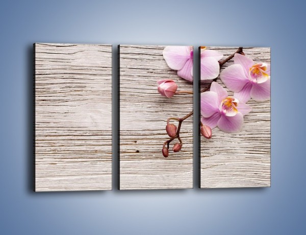 Obraz na płótnie – Kwiaty na drewnianej belce – trzyczęściowy K825W2