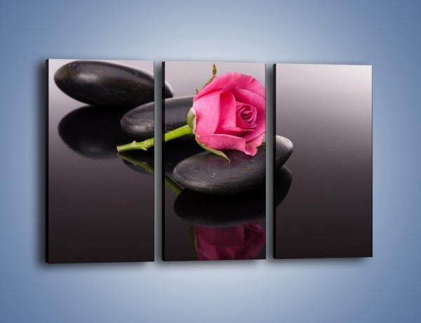 Obraz na płótnie – Ścięta róża na czarnej tafli – trzyczęściowy K832W2