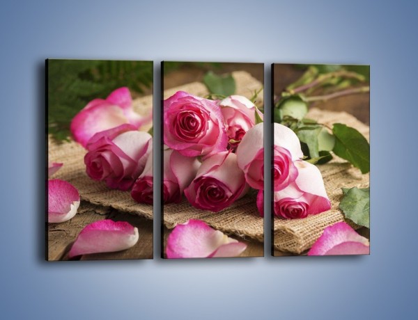 Obraz na płótnie – Zapomniane chwile wśród róż – trzyczęściowy K838W2